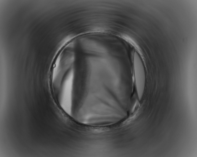 X0000086800899200705041606