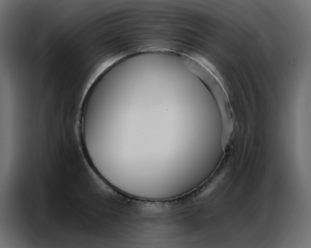 X0000086800901200705041606