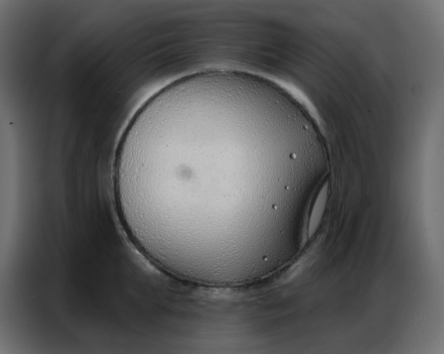 X0000086800903200705041606