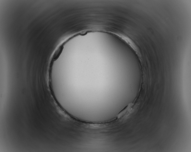 X0000086800904200705041606