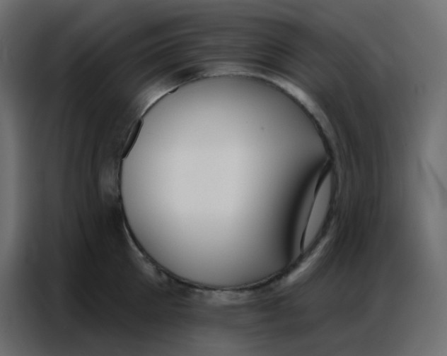 X0000086800905200705041606