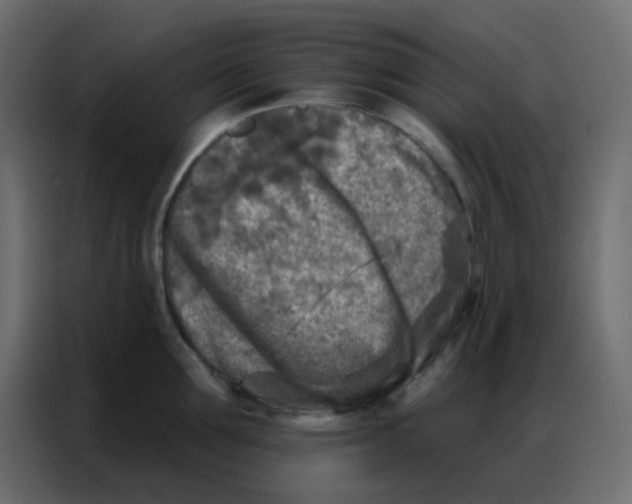 X0000086800907200705041606