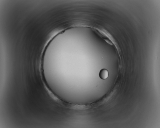 X0000086800909200705041606