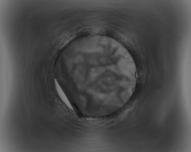 X0000086800913200705041605