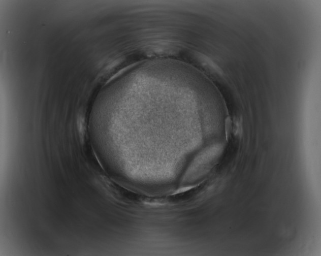 X0000086800915200705041605