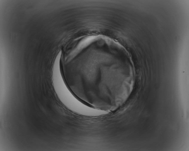 X0000086800916200705041605