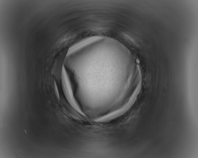 X0000086800917200705041605