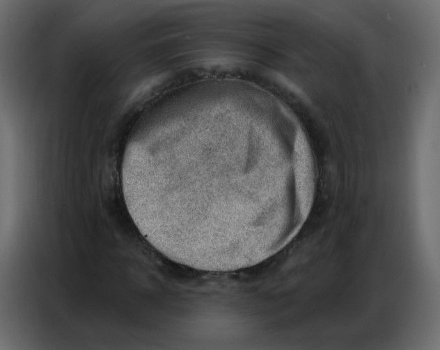 X0000086800918200705041605