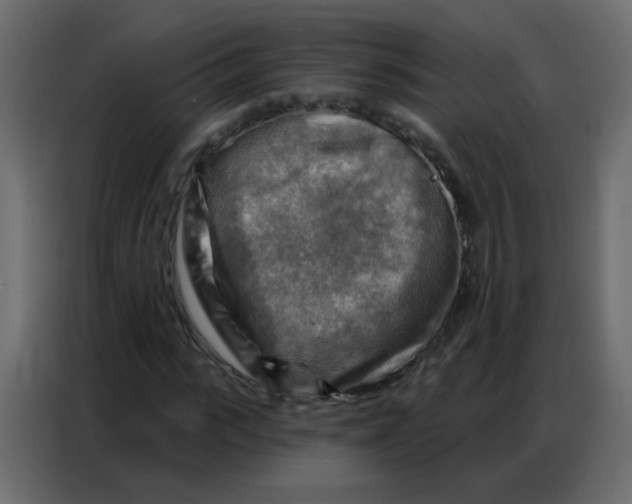 X0000086800919200705041605