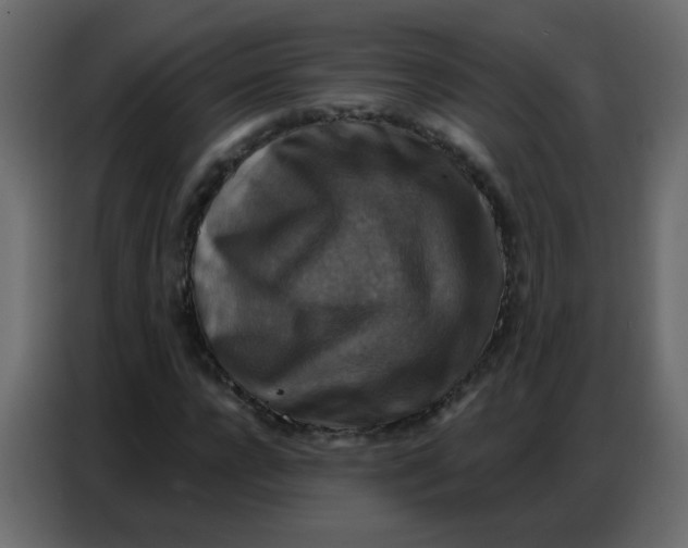 X0000086800920200705041605