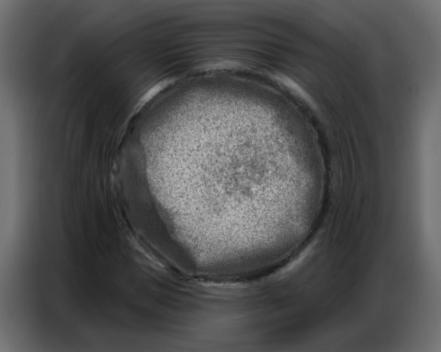 X0000086800921200705041605