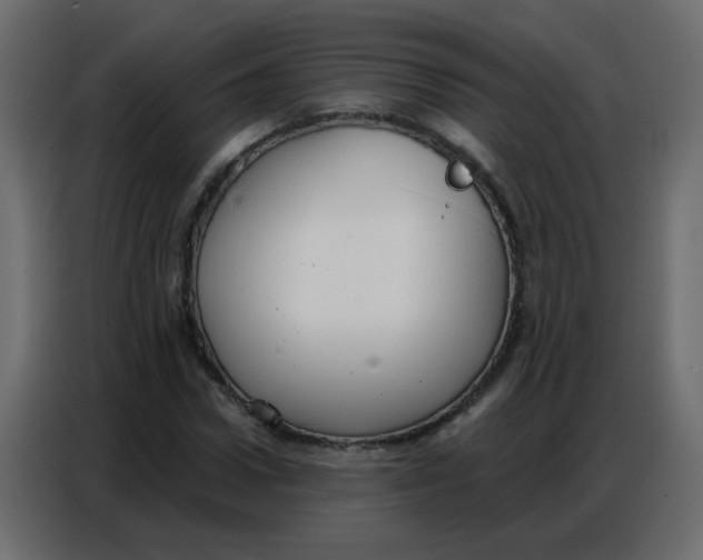 X0000086800922200705041605