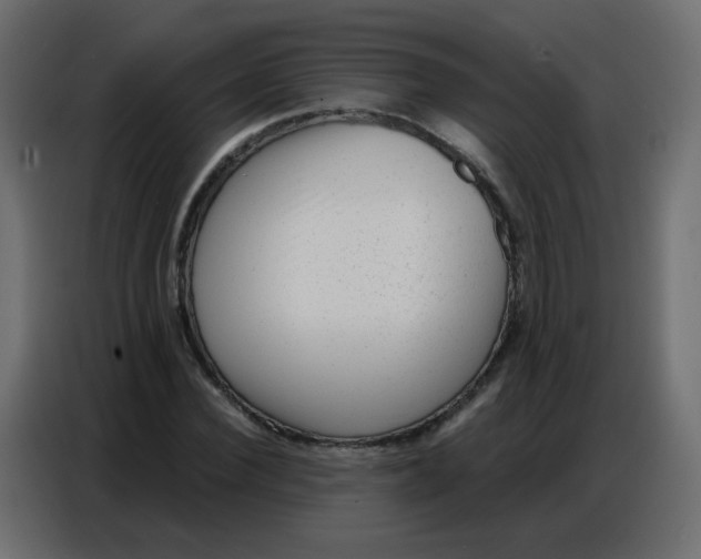 X0000086800924200705041605