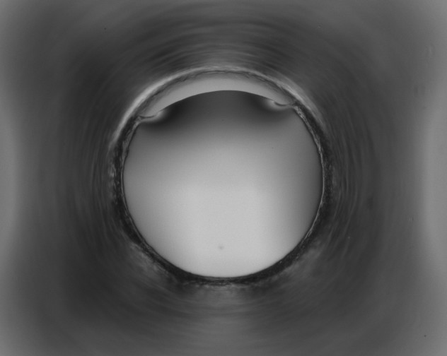 X0000086800926200705041605