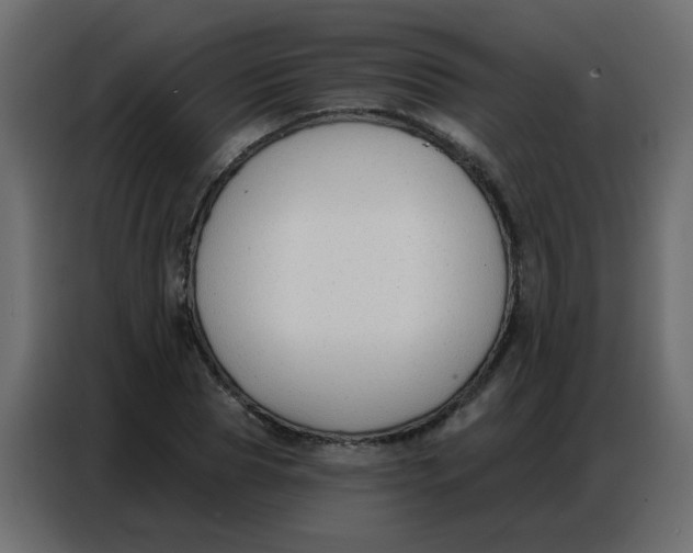 X0000086800929200705041605