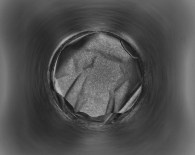 X0000086800932200705041605