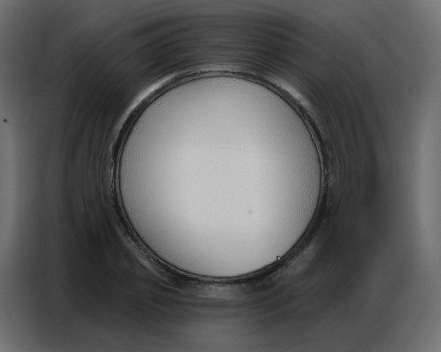 X0000086800933200705041605