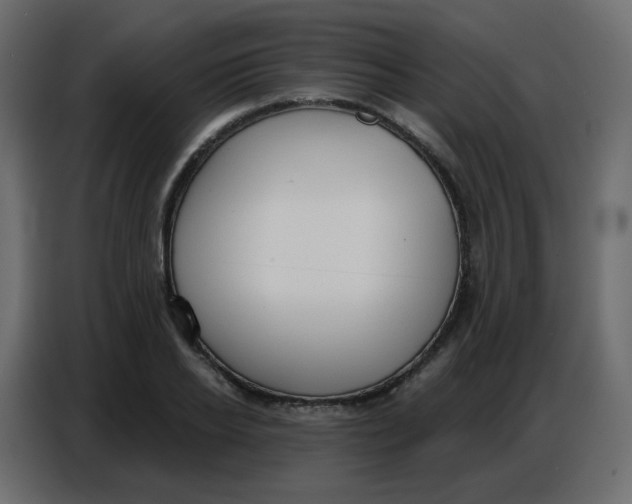 X0000086800934200705041605