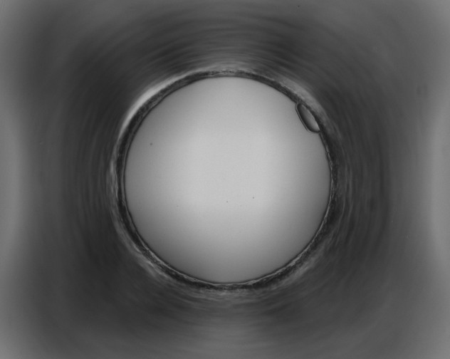 X0000086800936200705041605