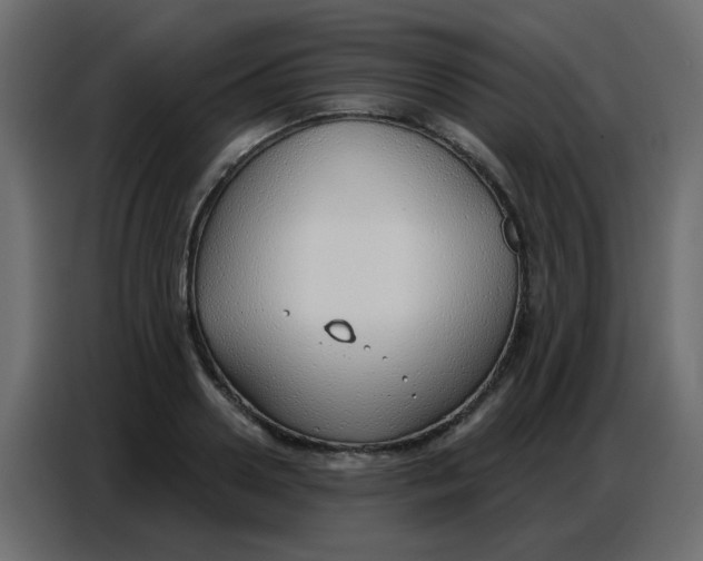 X0000086800938200705041605