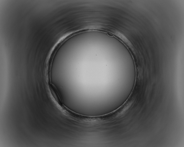 X0000086800939200705041605