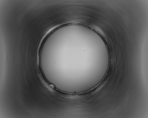 X0000086800940200705041605