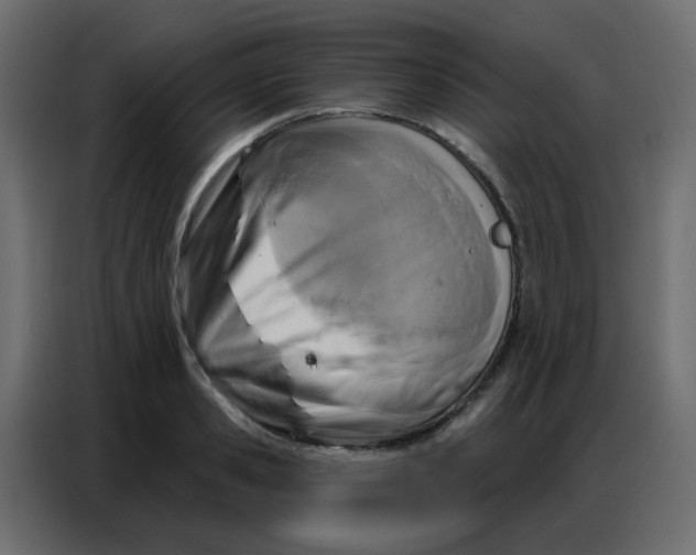 X0000086800941200705041605