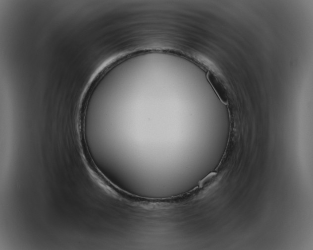 X0000086800942200705041605