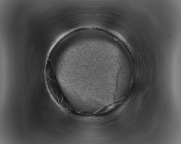 X0000086800943200705041605