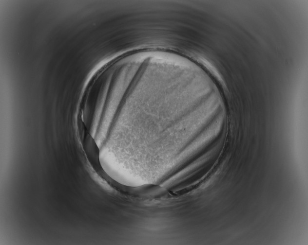 X0000086800944200705041605