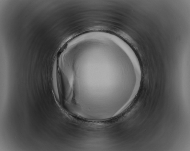 X0000086800945200705041605