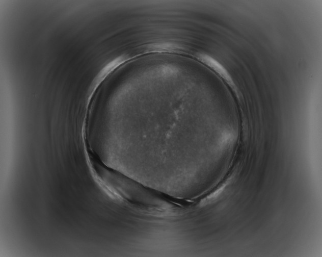 X0000086800946200705041605