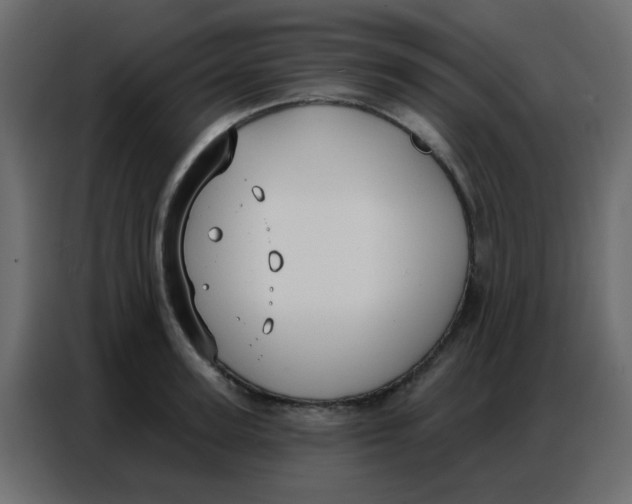 X0000086800947200705041605