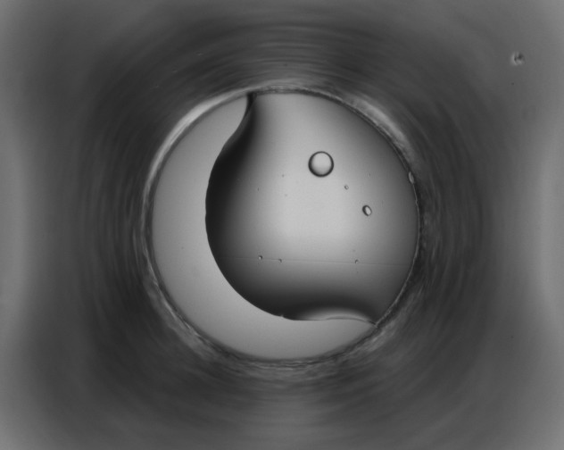 X0000086800948200705041605