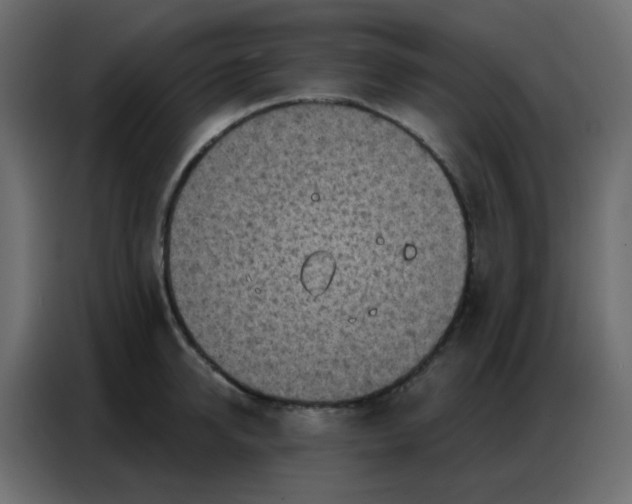 X0000086800950200705041605