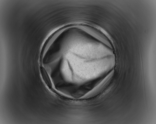 X0000086800951200705041605