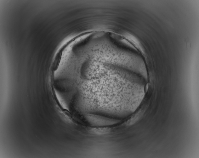 X0000086800952200705041605