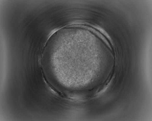 X0000086800953200705041605