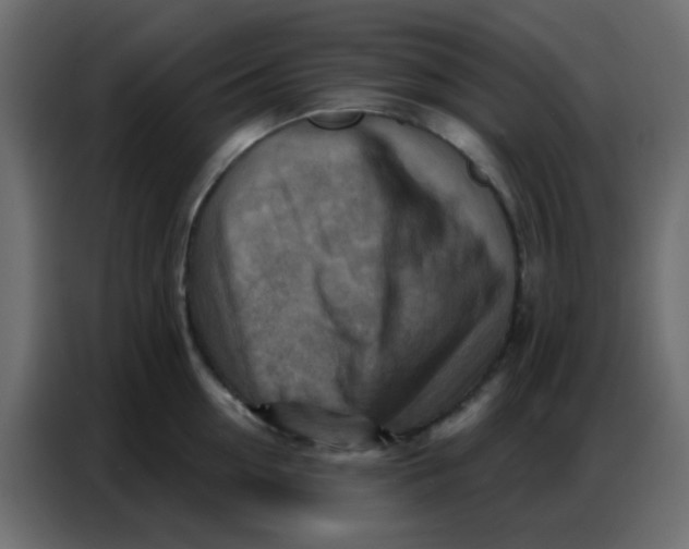 X0000086800954200705041605