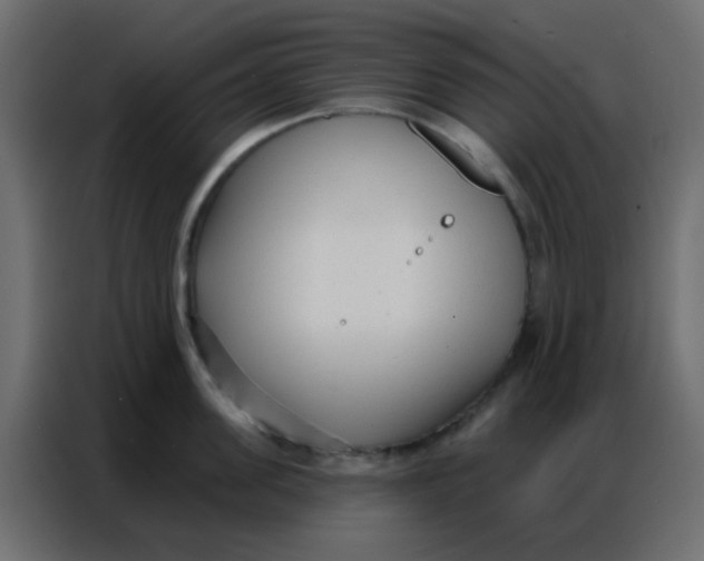 X0000086800955200705041605