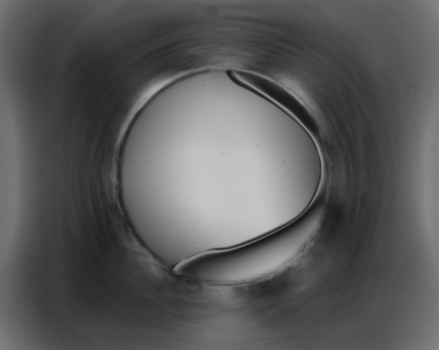 X0000086800956200705041606