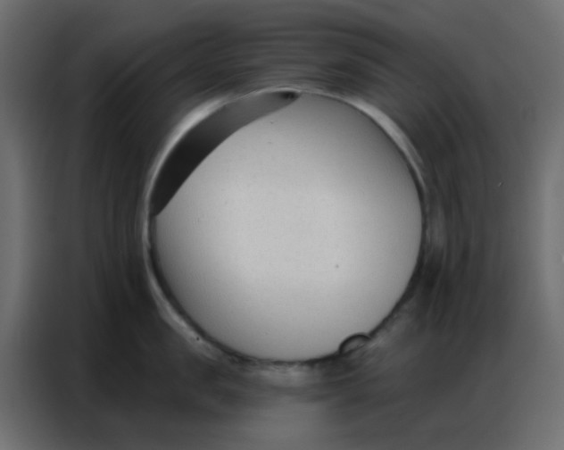 X0000086800957200705041606