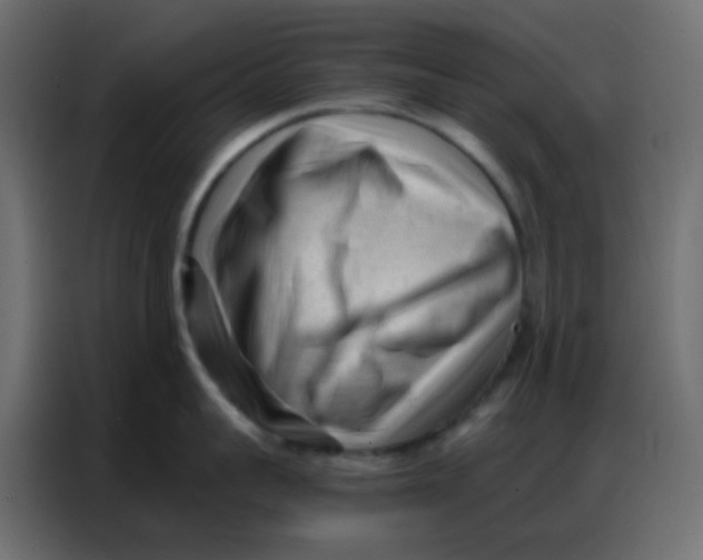 X0000086800959200705041606