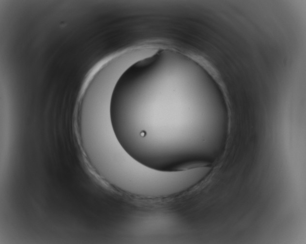 X0000086800960200705041606