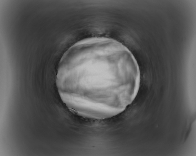 X0000086800961200705041605