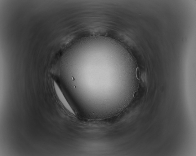 X0000086800963200705041605