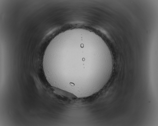 X0000086800967200705041605