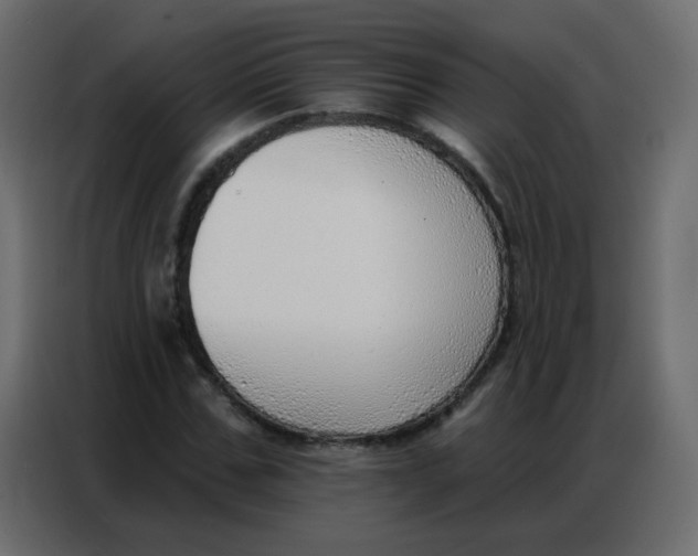 X0000086800971200705041605