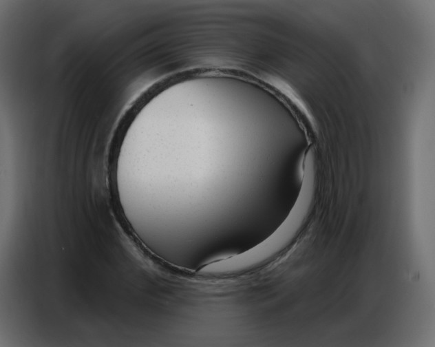 X0000086800972200705041605