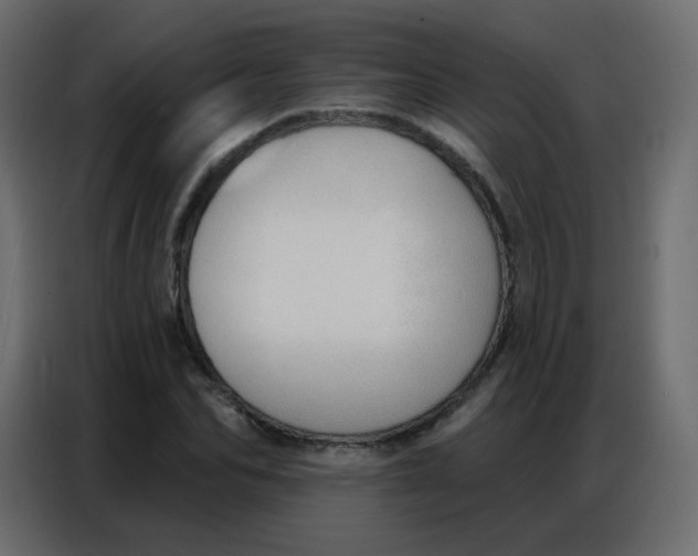 X0000086800974200705041605